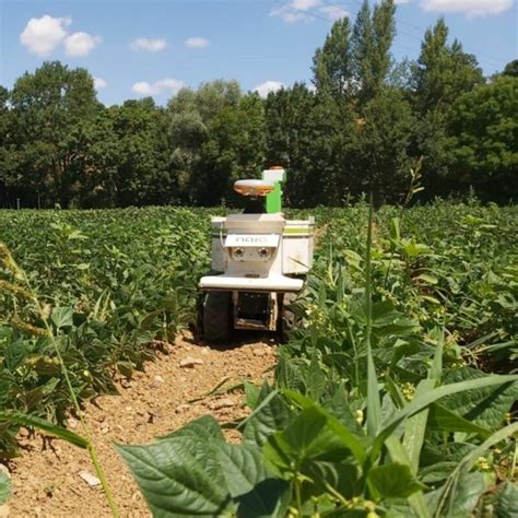 Robot Agricole Autonome Oz Naïo Technologies De Désherbage