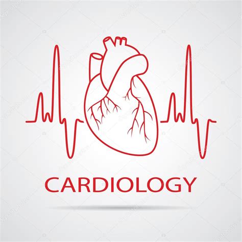 Vector Human Heart Medical Symbol Of Cardiology — Stock Vector