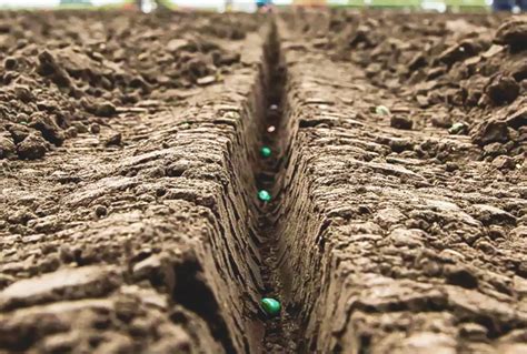 Attention To Detail Keeps Planters Running Precisely Farmtario