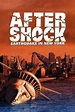 Aftershock: Tremblement de terre à New York (série) : Saisons, Episodes ...