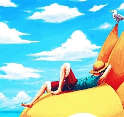 Monkey D Luffy Sleeping Thousand Sunny Seagull One Piece Luffy