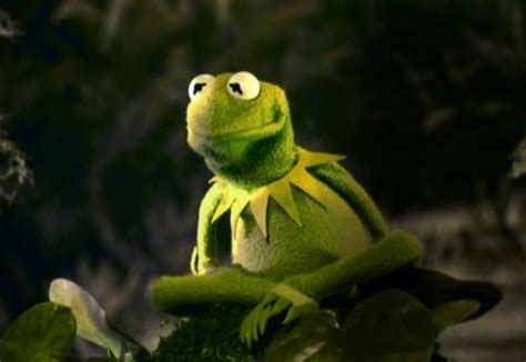 Kermit The Frog Muppet Wiki Wikia