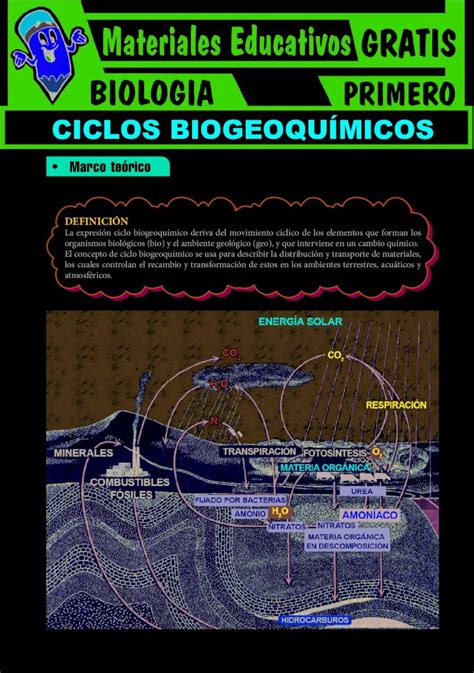 Pdf Ciclos Biogeoqu Micos Este Ciclo Consta De Las Siguientes Etapas