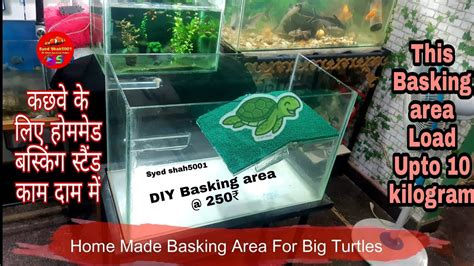 Diy Turtle Basking Area For Big Turtles Unbelievable Cost Youtube