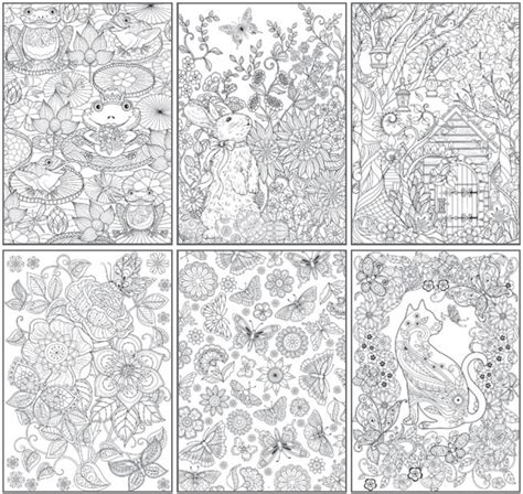 Antistresové omalovánky 6 motivů zahrada 36,5 x 21,5 cm Kreativní