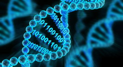 Biological Computing Or Computational Biology Whats The Difference