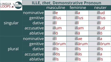 Demonstrative Pronouns Latin