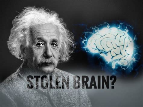 True Story Of How Einsteins Brain Was Stolen For Science 40 Years