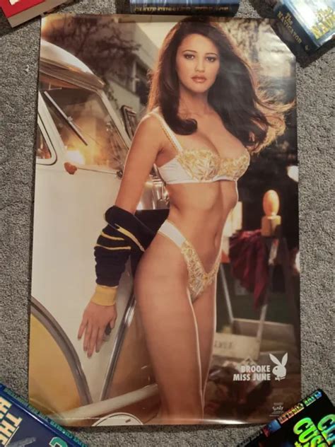 LOT OF Different Playbabe Playmate Posters X Brooke Berry Nicole Marie Lenz PicClick