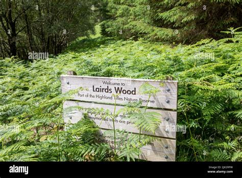 Lairds Wood Part Of The Scottish Highlands Titles Nature Reserve Near