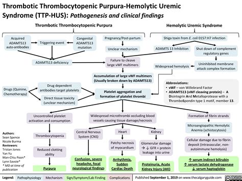 Thrombotic Thrombocytopenic Purpura Hemolytic Uremic Syndrome Ttp Hus