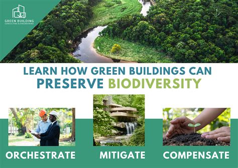 How Green Buildings Can Preserve Biodiversity Of Wildlife And Natural