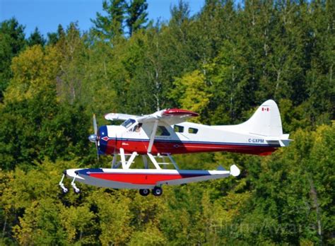 Photo Of De Havilland Canada C GXPM FlightAware De Havilland Bush