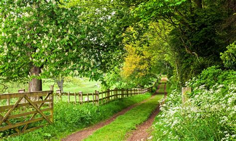 20 Most Beautiful English Countryside Of 2023