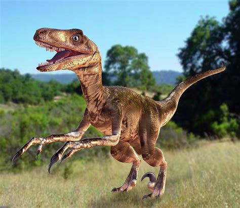 Deinonychus Dinosaur Photograph By Roger Harris Pixels