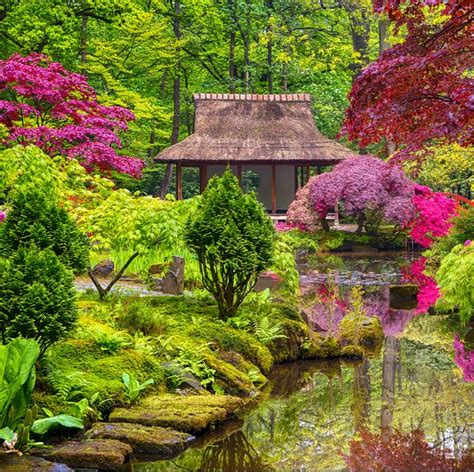 How To Design A Japanese Garden Foliar Garden
