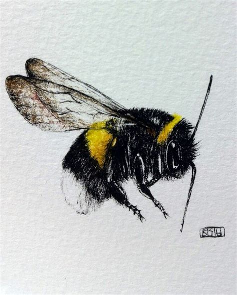 We did not find results for: Bumble bee in ink. | Bee, Flower painting, Bee happy