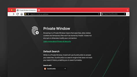 Everything You Should Know About Private Browsing Vivaldi