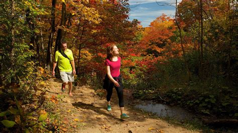 Blue Mountain Resort Hiking Trails In Ontario