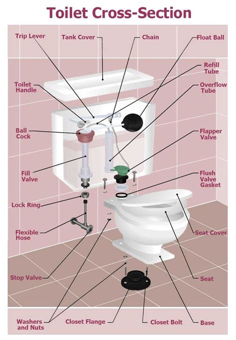 Best Flushing Toilet 2019 Reviews Plumber Recommended Toilets Flush