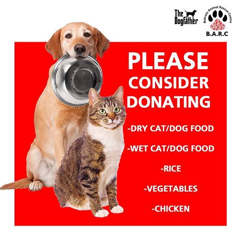 Can I Donate Dog Food