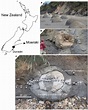 Location and the occurrence of Moeraki boulders. Index map and the ...