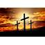 Blessings Of The Cross 40 Powerful Easter Devotions