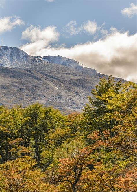 Patagonia Mountain Landscape Scene Aisen Chile Stock Image Image Of