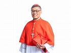 周守仁獲教宗擢升樞機 教會史上第8位華人樞機 - 新浪香港