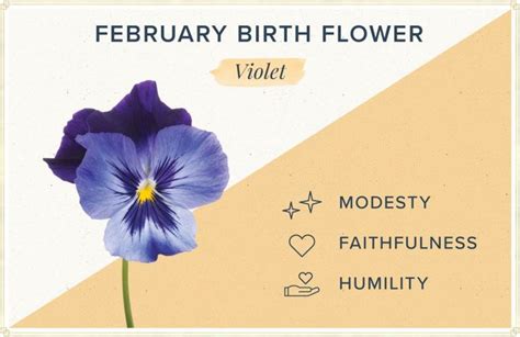 Birthday Flowers The Complete Guide Of Birth Month Flowers Birth