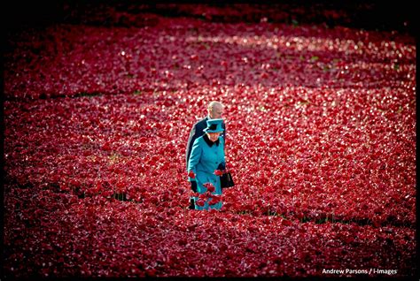 The Queen Among The Poppies At The Tower One Of The Most Poignant