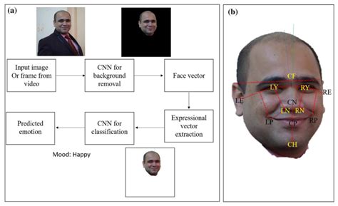 facial expression based emotion detection using image