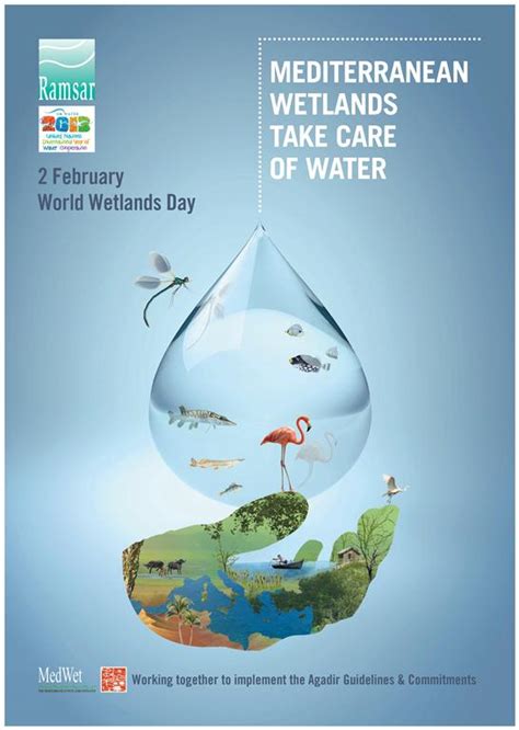 World water day infographic featuring lots of facts about water usage and waste prevention. Print your own copy of the Mediterranean World Wetlands ...