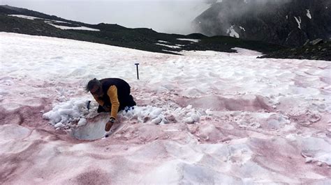 Glacier Blood Is The Latest Climate Change Horror