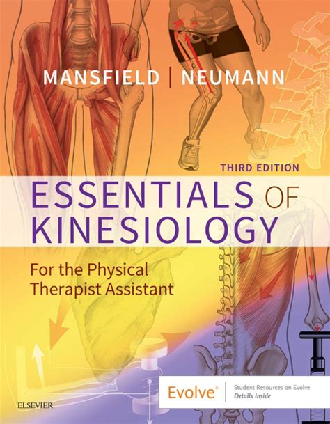 Essentials Of Kinesiology For The 3rd Edition By Paul Jackson