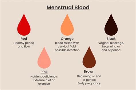 What Do Different Color Period Blood Mean The Meaning Of Color