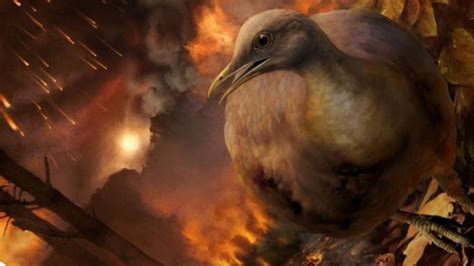 How Birds Survived The Cretaceous Mass Extinction Event