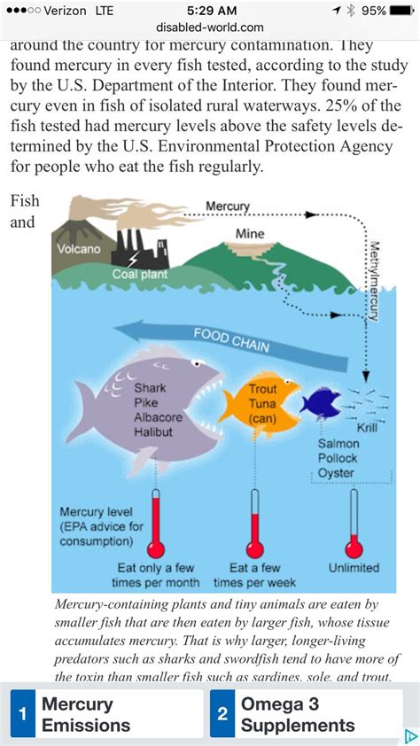 Mercury In Fish Mercury In Fish Waterway Mercury