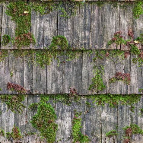 Wood Mossy Roof Seamless Texture Wild Textures