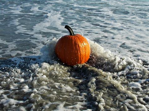 Autumn Scenes Pumpkin Fall Beach