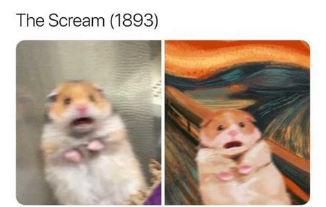 Screaming Hamster Meme Captions Beautiful