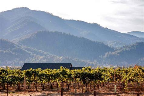 Helpful Guide Oregon Wine Regions Worth Getting Excited Over