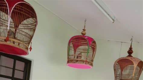 Malaysian hindu devotees perform ritual bath and prayers by the river before their pilgrimage to the sacred batu caves on. 12 January 2018 - YouTube