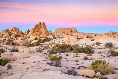 See more ideas about dessert recipes, delicious desserts, best dessert recipes. Joshua Tree National Park will soon be a Dark Sky Park
