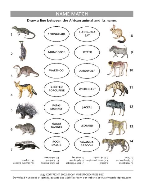 Name Match African Mammals Lesson Plan For 5th 6th