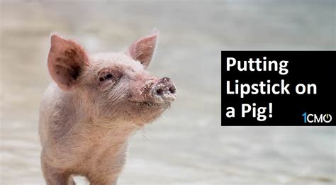 Putting Lipstick On A Pig 1cmo