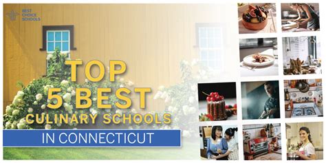 Top 5 Best Culinary Schools In Connecticut 2021 Best Choice Schools