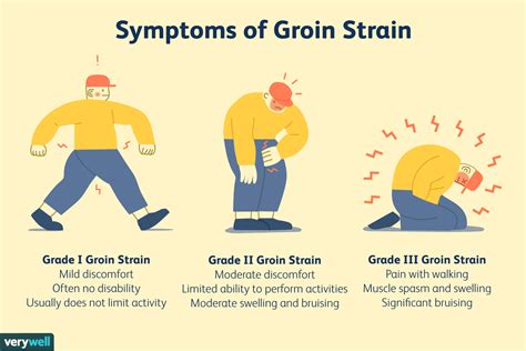 Pulled Groin Muscle Symptoms Causes Treatment Prevention 2022