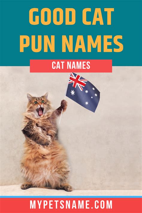 Good Cat Pun Names Cat Pun Names Cat Puns Pun Names