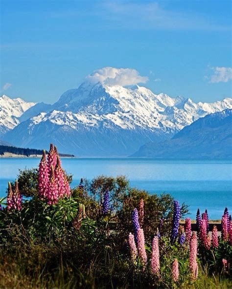 Pin On New Zealand Beauty